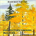 Perspectives Through Black Ice 